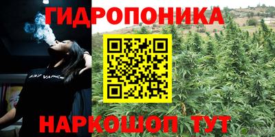 ГАЛЛЮЦИНОГЕННЫЕ ГРИБЫ Бузулук