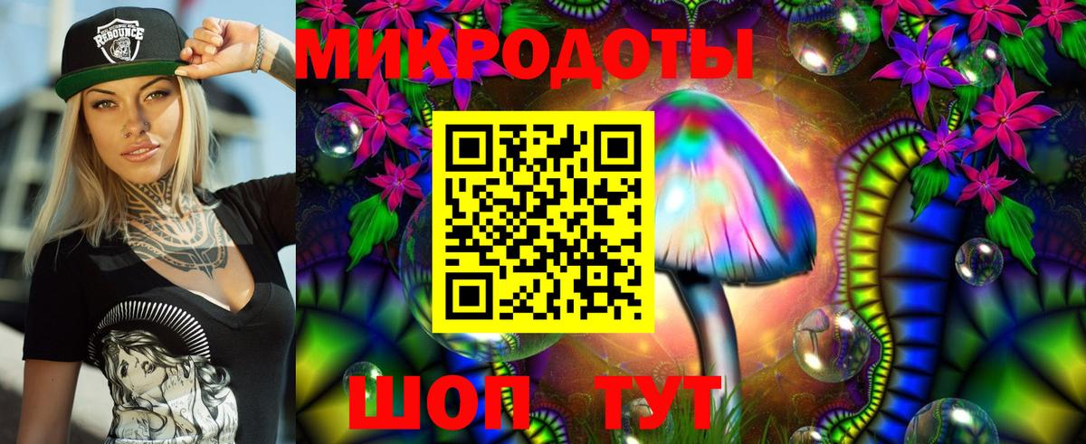 Галлюциногенные грибы прущие грибы Павловский Посад