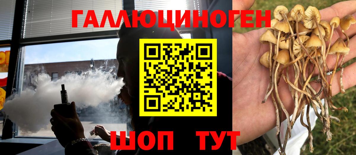 Псилоцибиновые грибы ЛСД  Вход с VPN  Павловский Посад 